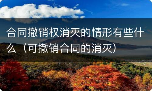 合同撤销权消灭的情形有些什么（可撤销合同的消灭）
