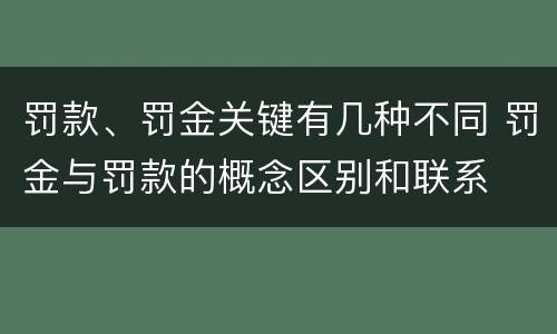 罚款、罚金关键有几种不同 罚金与罚款的概念区别和联系