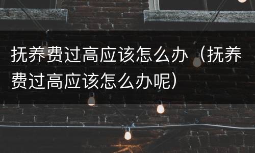 抚养费过高应该怎么办（抚养费过高应该怎么办呢）