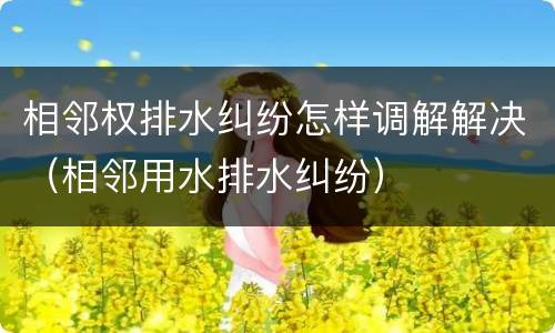 相邻权排水纠纷怎样调解解决（相邻用水排水纠纷）