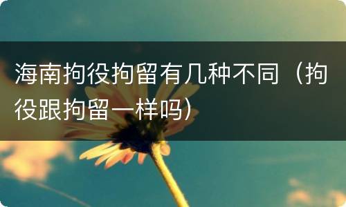 海南拘役拘留有几种不同（拘役跟拘留一样吗）