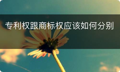 专利权跟商标权应该如何分别