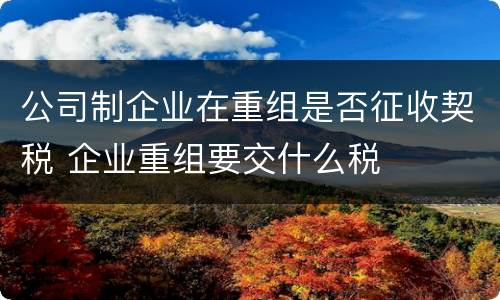 公司制企业在重组是否征收契税 企业重组要交什么税