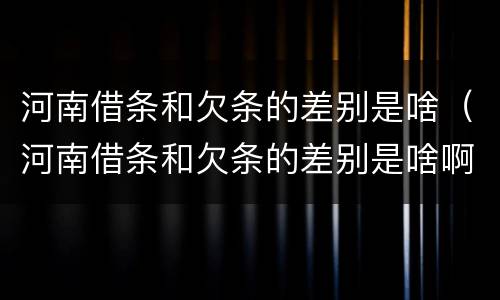 河南借条和欠条的差别是啥（河南借条和欠条的差别是啥啊）