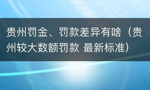 贵州罚金、罚款差异有啥（贵州较大数额罚款 最新标准）
