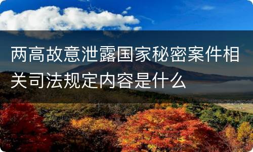 两高故意泄露国家秘密案件相关司法规定内容是什么