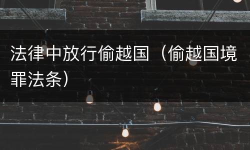 法律中放行偷越国（偷越国境罪法条）