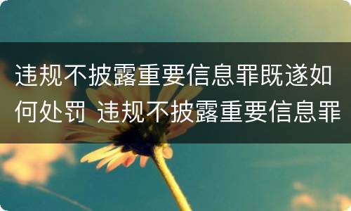 违规不披露重要信息罪既遂如何处罚 违规不披露重要信息罪既遂如何处罚
