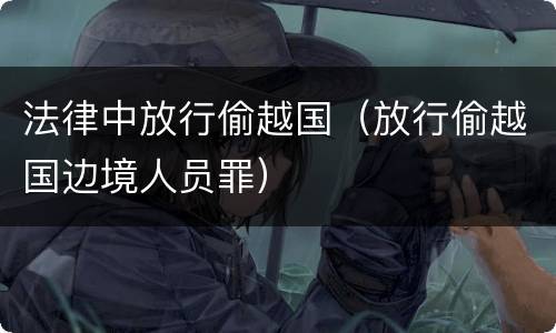 法律中放行偷越国（放行偷越国边境人员罪）