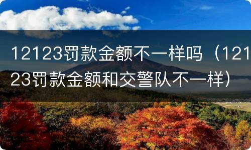 12123罚款金额不一样吗（12123罚款金额和交警队不一样）