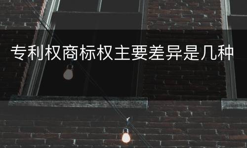 专利权商标权主要差异是几种
