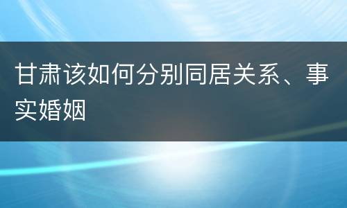 甘肃该如何分别同居关系、事实婚姻