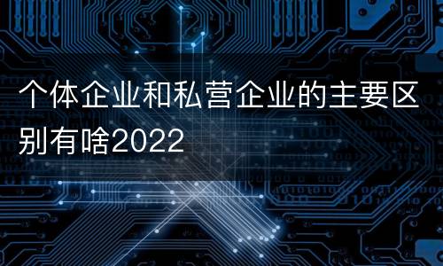 个体企业和私营企业的主要区别有啥2022