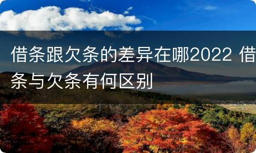 借条跟欠条的差异在哪2022 借条与欠条有何区别