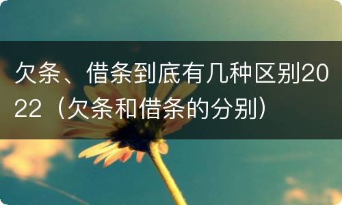欠条、借条到底有几种区别2022（欠条和借条的分别）