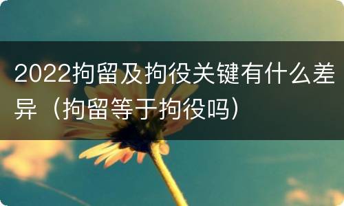 2022拘留及拘役关键有什么差异（拘留等于拘役吗）