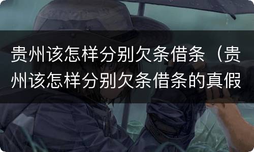 贵州该怎样分别欠条借条（贵州该怎样分别欠条借条的真假）