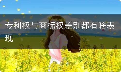 专利权与商标权差别都有啥表现