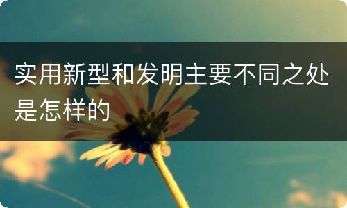实用新型和发明主要不同之处是怎样的