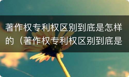 著作权专利权区别到底是怎样的（著作权专利权区别到底是怎样的形式）