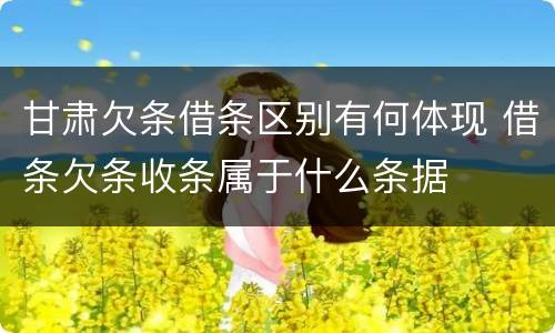 甘肃欠条借条区别有何体现 借条欠条收条属于什么条据