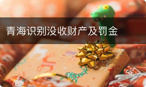 青海识别没收财产及罚金