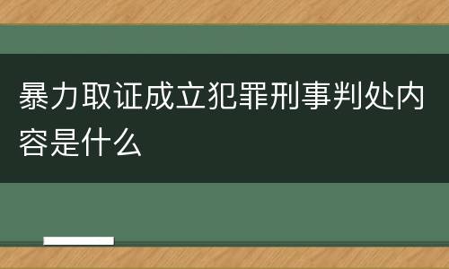 暴力取证成立犯罪刑事判处内容是什么