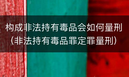 构成非法持有毒品会如何量刑（非法持有毒品罪定罪量刑）
