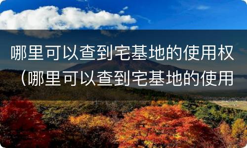 哪里可以查到宅基地的使用权（哪里可以查到宅基地的使用权性质）