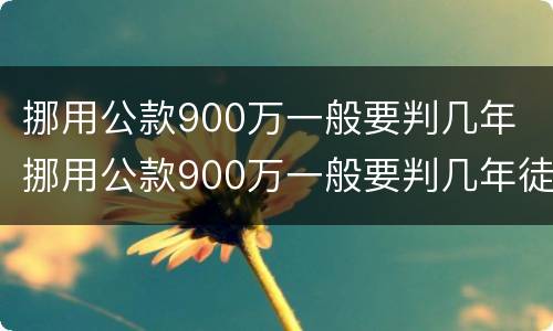 挪用公款900万一般要判几年 挪用公款900万一般要判几年徒刑