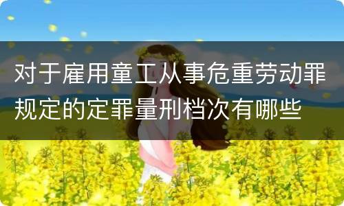 对于雇用童工从事危重劳动罪规定的定罪量刑档次有哪些