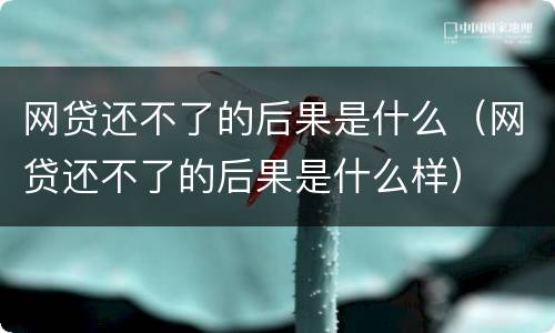 网贷还不了的后果是什么（网贷还不了的后果是什么样）