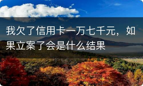 我欠了信用卡一万七千元，如果立案了会是什么结果