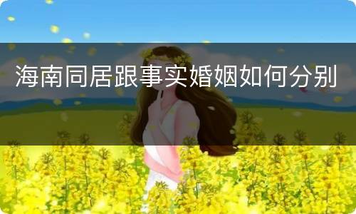 海南同居跟事实婚姻如何分别