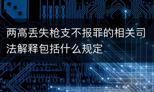两高丢失枪支不报罪的相关司法解释包括什么规定