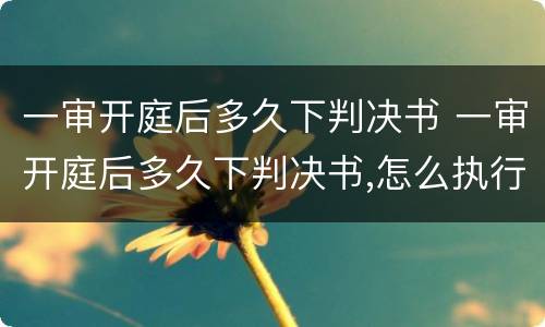 一审开庭后多久下判决书 一审开庭后多久下判决书,怎么执行