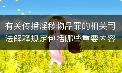 有关传播淫秽物品罪的相关司法解释规定包括哪些重要内容