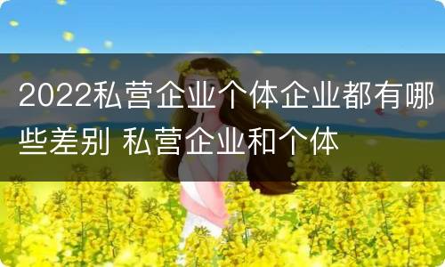 2022私营企业个体企业都有哪些差别 私营企业和个体