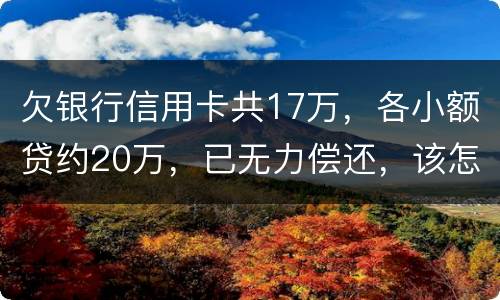 欠银行信用卡共17万，各小额贷约20万，已无力偿还，该怎么办