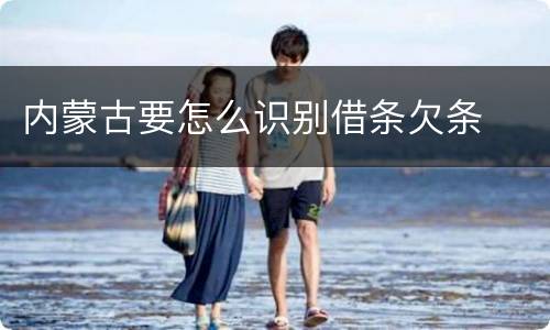 内蒙古要怎么识别借条欠条