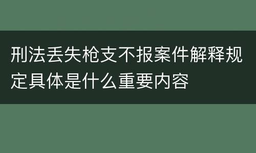 刑法丢失枪支不报案件解释规定具体是什么重要内容