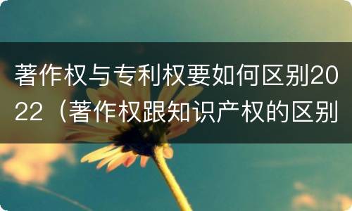 著作权与专利权要如何区别2022（著作权跟知识产权的区别）