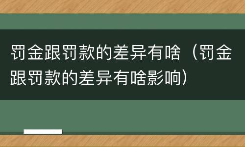 罚金跟罚款的差异有啥（罚金跟罚款的差异有啥影响）