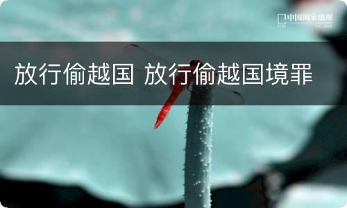 放行偷越国 放行偷越国境罪