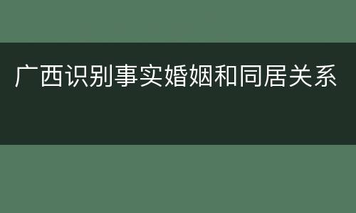 广西识别事实婚姻和同居关系