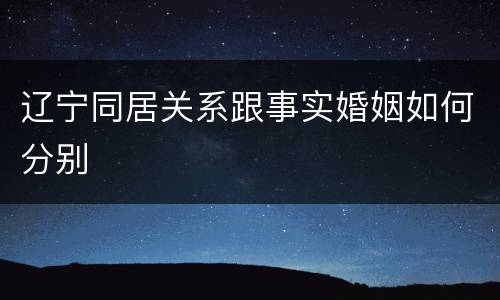 辽宁同居关系跟事实婚姻如何分别