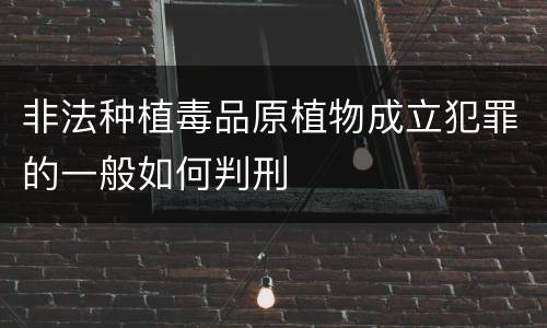 非法种植毒品原植物成立犯罪的一般如何判刑