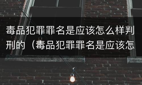 毒品犯罪罪名是应该怎么样判刑的（毒品犯罪罪名是应该怎么样判刑的呢）