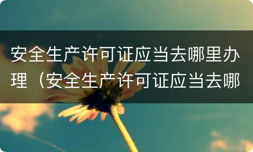 安全生产许可证应当去哪里办理（安全生产许可证应当去哪里办理呢）