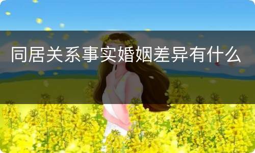 同居关系事实婚姻差异有什么
